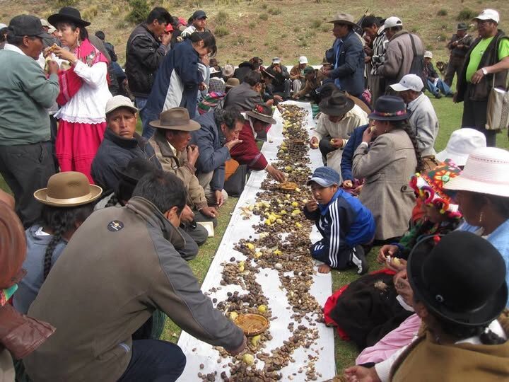 El Gran Regreso al Campo: Por Qué Miles Huyen de la Ciudad