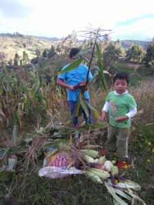 Del Cemento a la Tierra: Por Qué la Vida Rural Supera el Atractivo Urbano