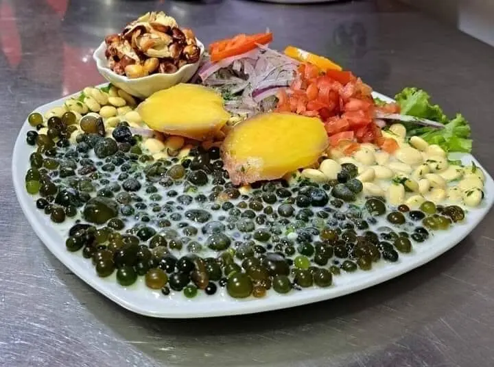 Cevichocho con Cushuro: Historia, Propiedades y Receta Tradicional Andina - Peru te pone Cevichocho con Cushuro: Historia, Propiedades y Receta Tradicional Andina