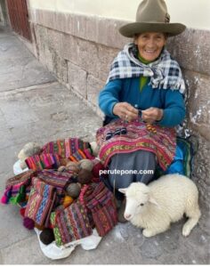 Por Qué el Estado Peruano No Logra Transformar la Resiliencia Callejera en Desarrollo Sostenible