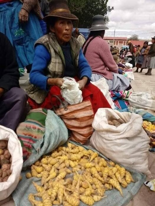 Consecuencias Profundas Cuando una Familia Andina Falla en Vender en la Feria o la Calle