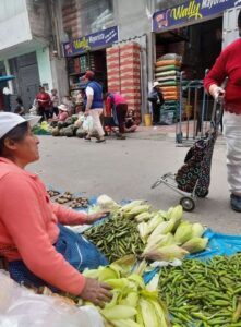 Cómo las Familias Andinas Usan la Venta Callejera como Motor del Sueño Educativo