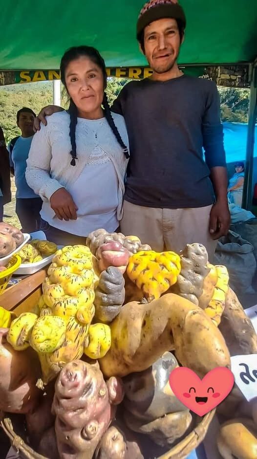 Cómo las Familias Andinas Usan la Venta Callejera como Motor del Sueño Educativo