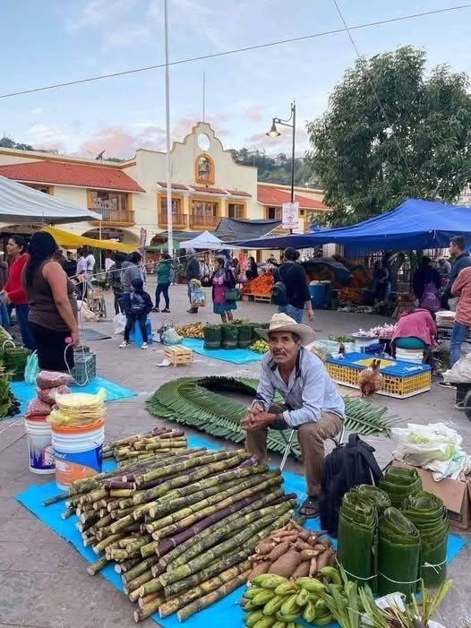¿Por Qué el Emprendedor Peruano de la Calle Recibe Más Apoyo del Extranjero que del Propio Peruano?