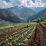 El Perú rural también innova: El secreto mejor guardado de nuestras regiones