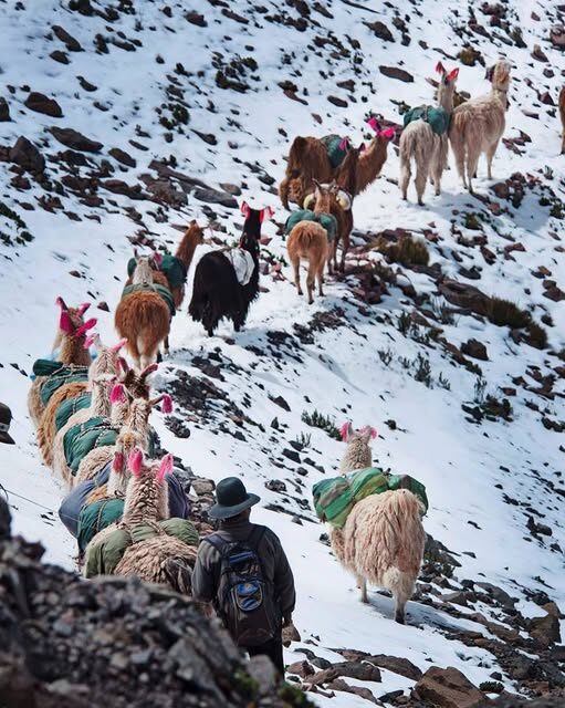 La Guía Definitiva para el Viajero de Corazón