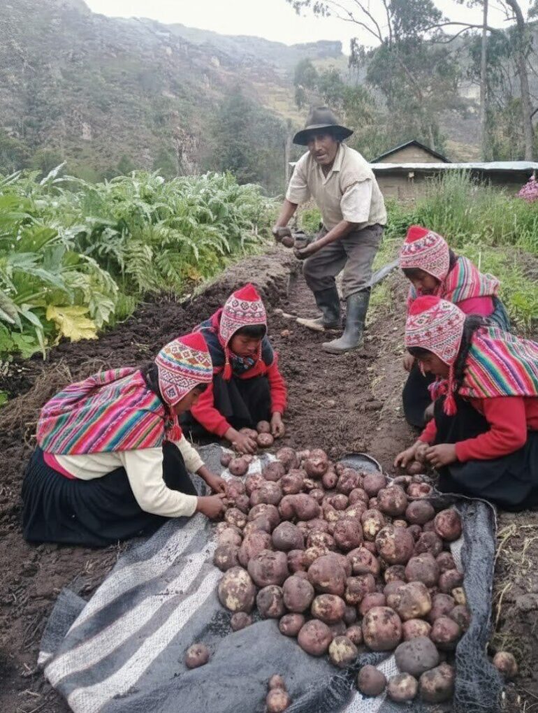 Infancia Andina: Entre Trabajo y Esperanza