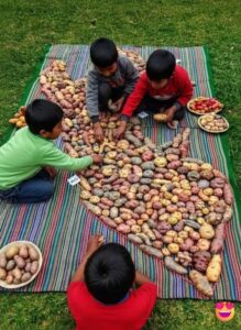 Perú te pone | Cultura viva, comida típica y turismo - Peru te pone Infancia Andina: Entre Trabajo y Esperanza